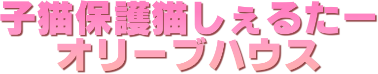 �q�L�ی�L�����邽�[
�I���[�u�n�E�X